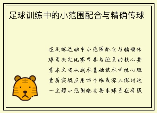 足球训练中的小范围配合与精确传球