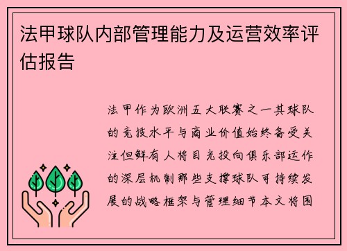 法甲球队内部管理能力及运营效率评估报告